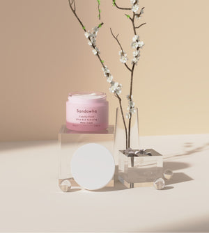 Camellia Floral Ultra Rich Hydrating Water Cream