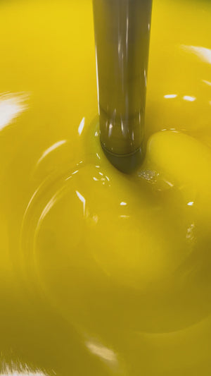 Fuco Antioxidant Ampoule