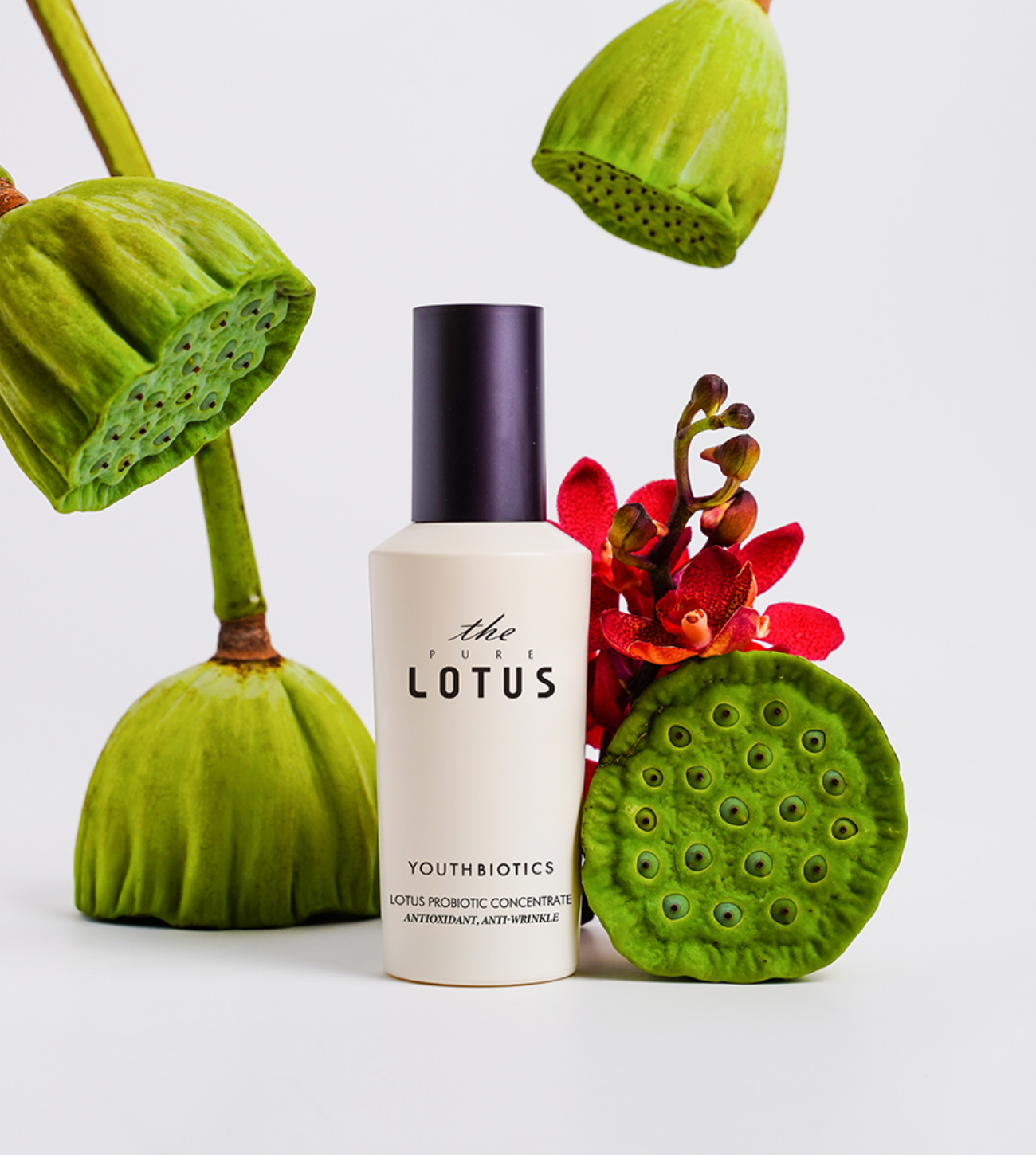 Lotus Probiotic Concentrate con flor de loto.
